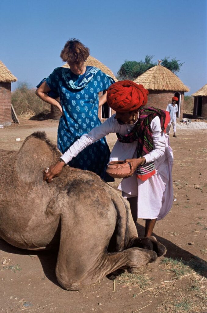 Köhler-Rollefson and a Raika man treat a camel for mange.